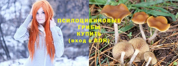 apvp Коряжма