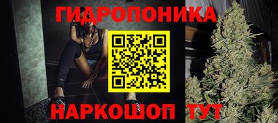 крисы Волгодонск