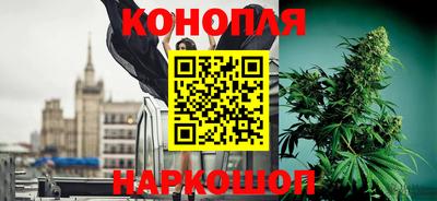 крисы Волгодонск