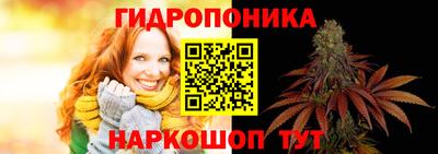 крисы Волгодонск