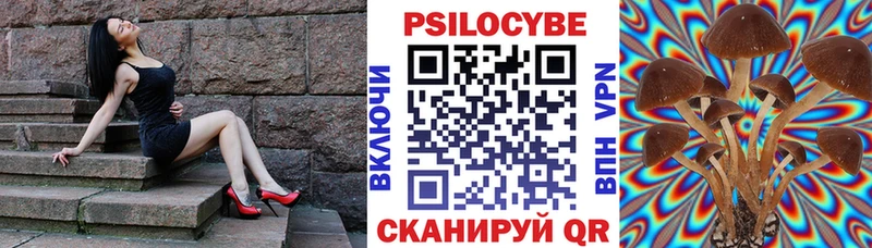 Псилоцибиновые грибы GOLDEN TEACHER  Екатеринбург 
