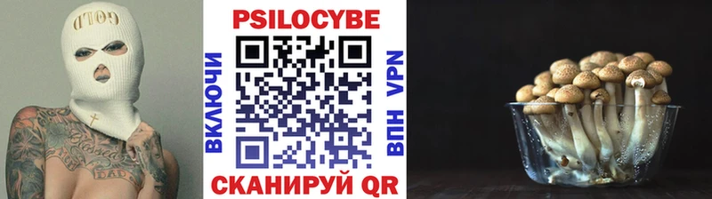 Псилоцибиновые грибы Magic Shrooms Екатеринбург