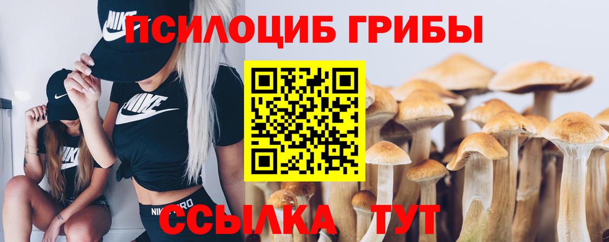 Псилоцибиновые грибы Cubensis Екатеринбург